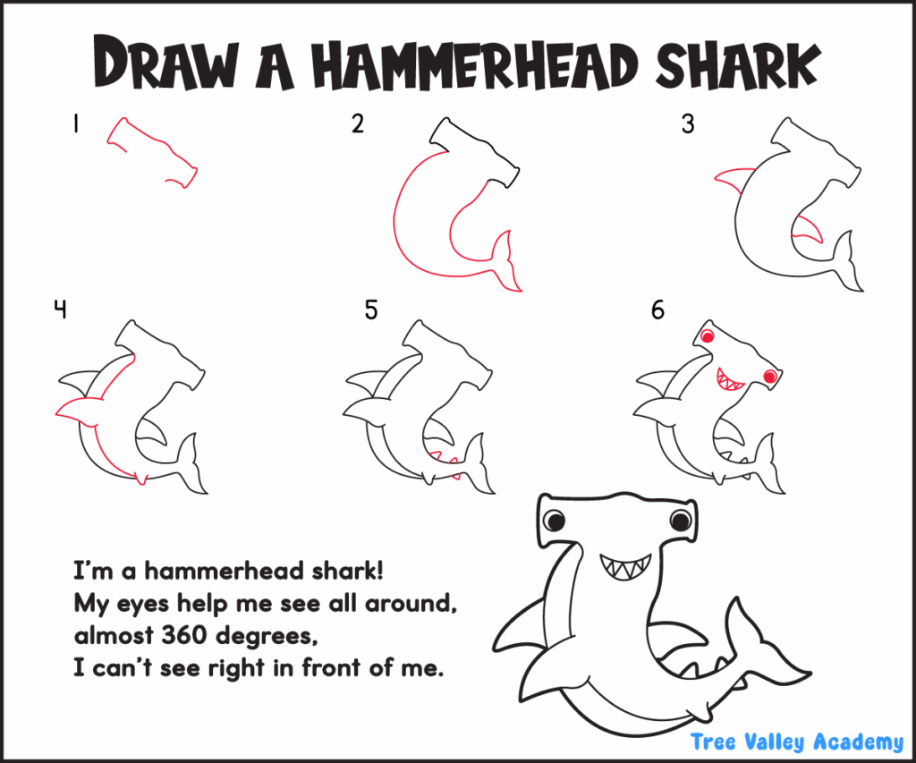 Learn to draw a hammerhead shark with this printable six-step drawing activity for beginners.