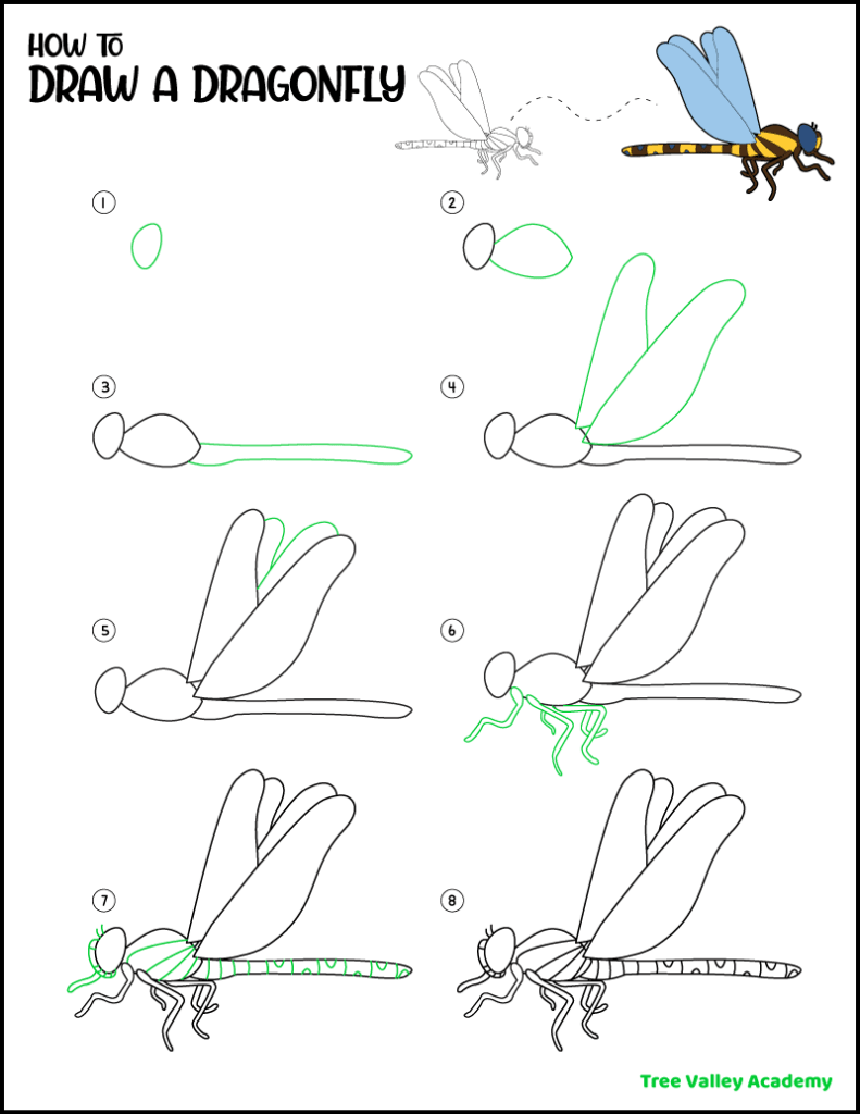 How to draw a dragonfly easy step by step instructions. 7 simple steps.