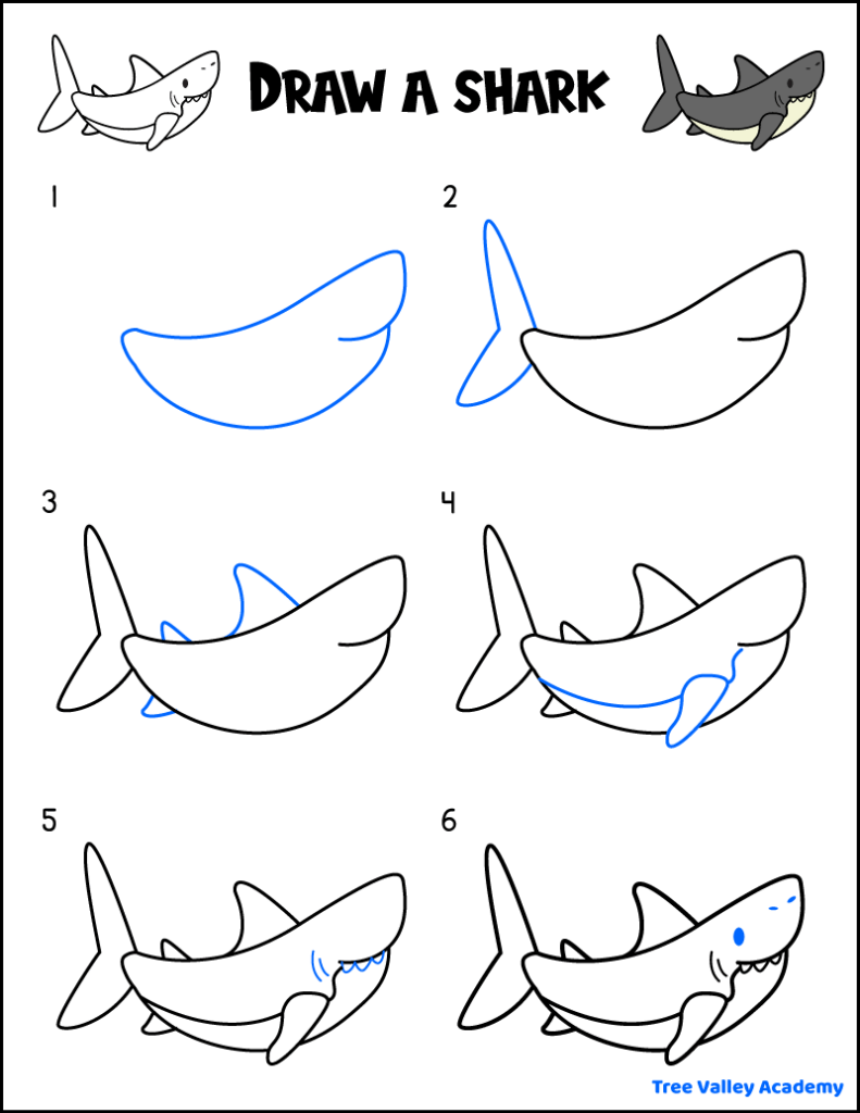 How to draw a shark for kids. Six easy step-by-step drawing instructions on one free printable page.