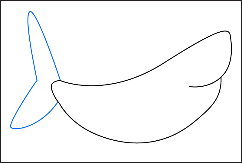 Step 2 of how to draw a shark – add the tail fin to the back of the body.