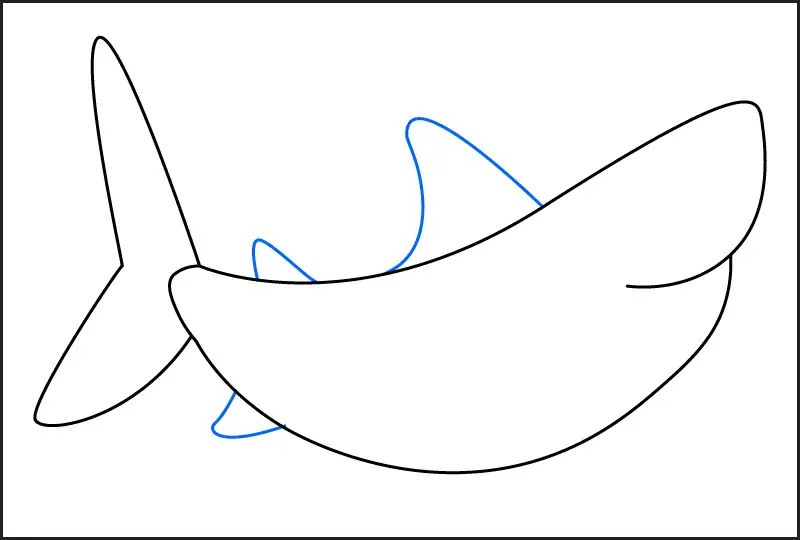 Step 3 of how to draw a shark – draw the dorsal fin and small side fins.
