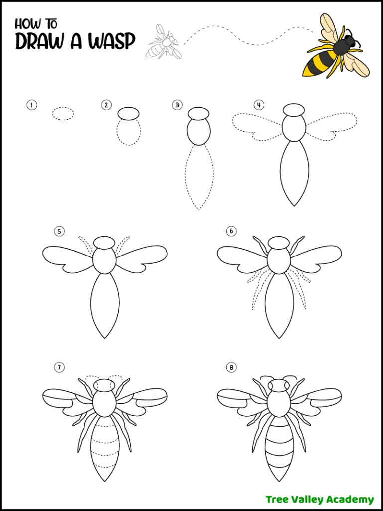 How to draw a wasp easy step by step instructions. 7 simple steps.