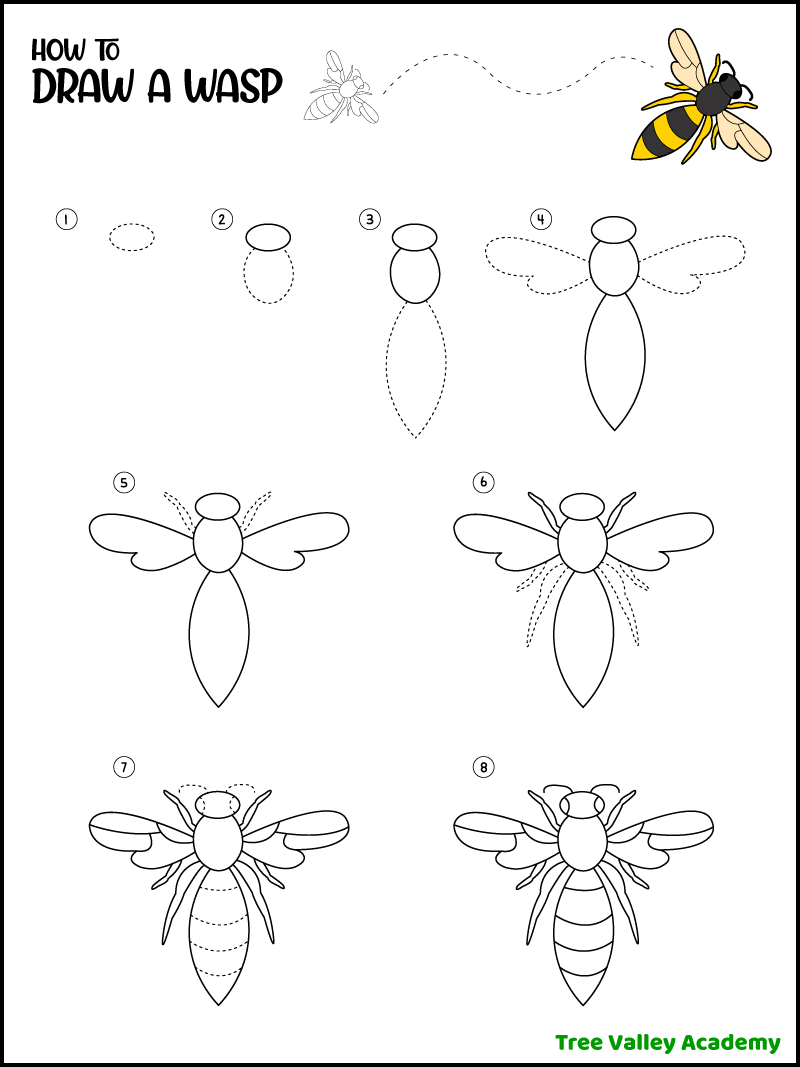 How to DRAW a FLY Easy Step by Step Drawing Insects - YouTube