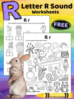 Free printable black and white letter R sound worksheets. There's a beginning sound coloring worksheet with 27 pictures. Kids will need to color the images that begin with an R sound. There's also an alphabet worksheet with 12 images with boxes underneath each image. The boxes represent the syllables of each word. Kids are asked to draw an X in the box of the syllable that they hear an R sound.