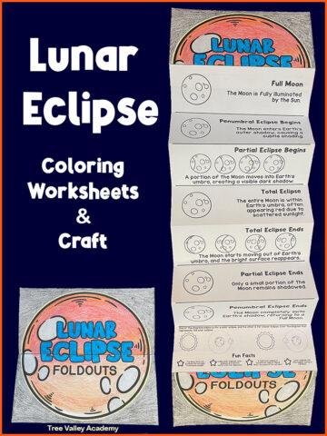 Lunar eclipse coloring worksheets and craft. The lunar eclipse folds down flat and opens up to show the different phases and lunar eclipse facts.