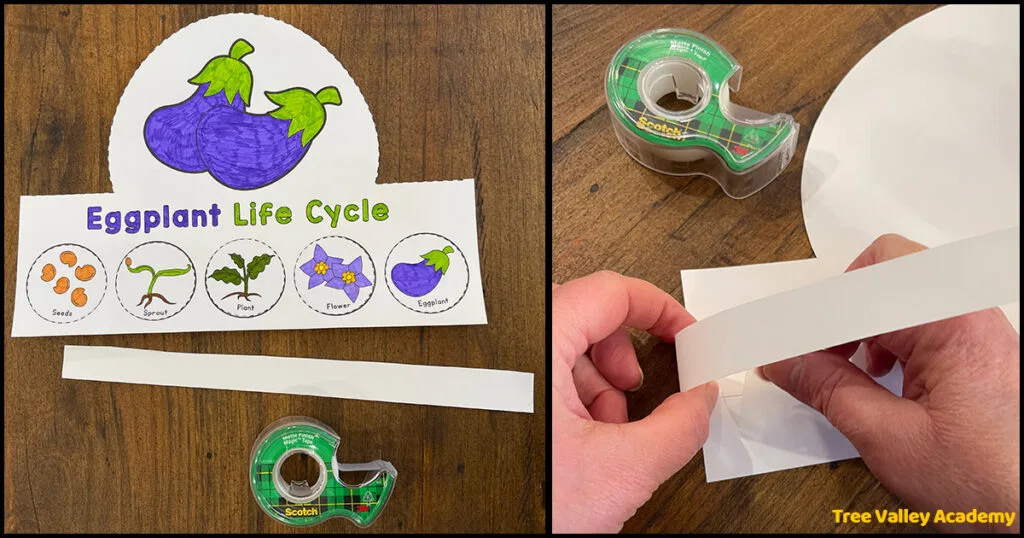 Eggplant life cycle hat craft for preschoolers. The left side shows a completed, colored hat. Underneath is a strip of cardstock to use to increase the size of the hat. The right side shows hands taping an end of the strip to the back of the hat to assemble it.