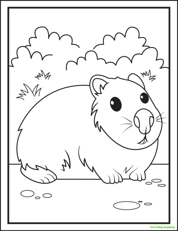 8 Groundhog Day Coloring Pages - Tree Valley Academy
