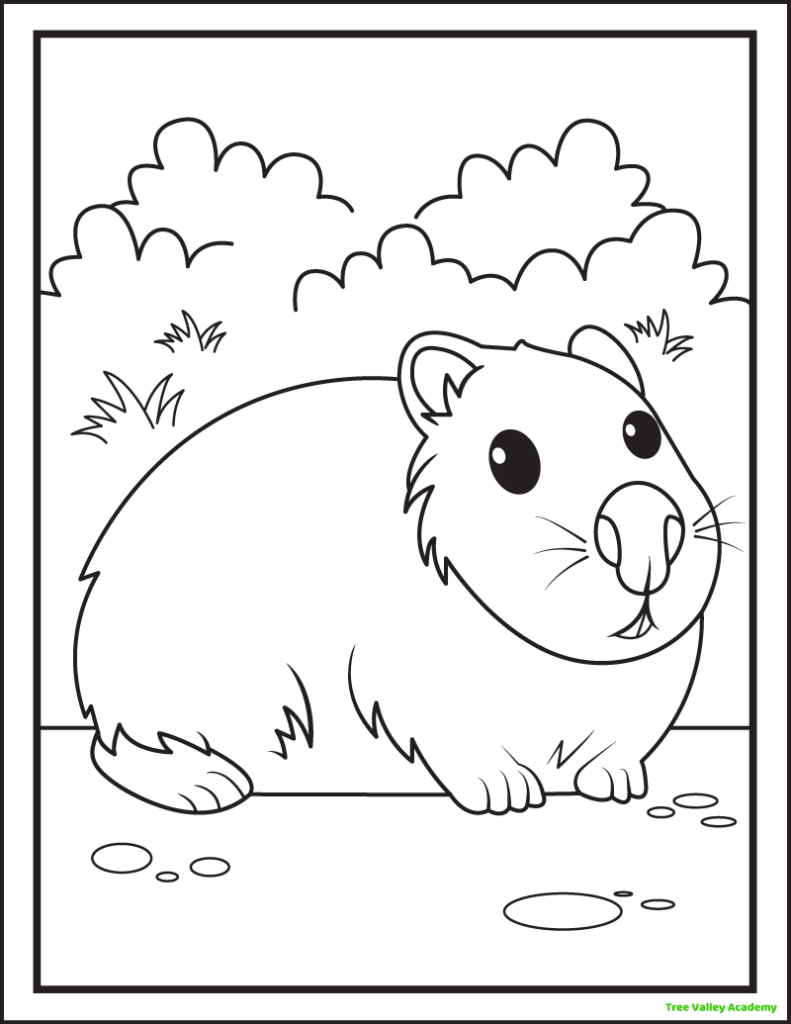 A printable groundhog coloring page of a cute groundhog with a big nose lying down on the ground. The background has lots of bushes.