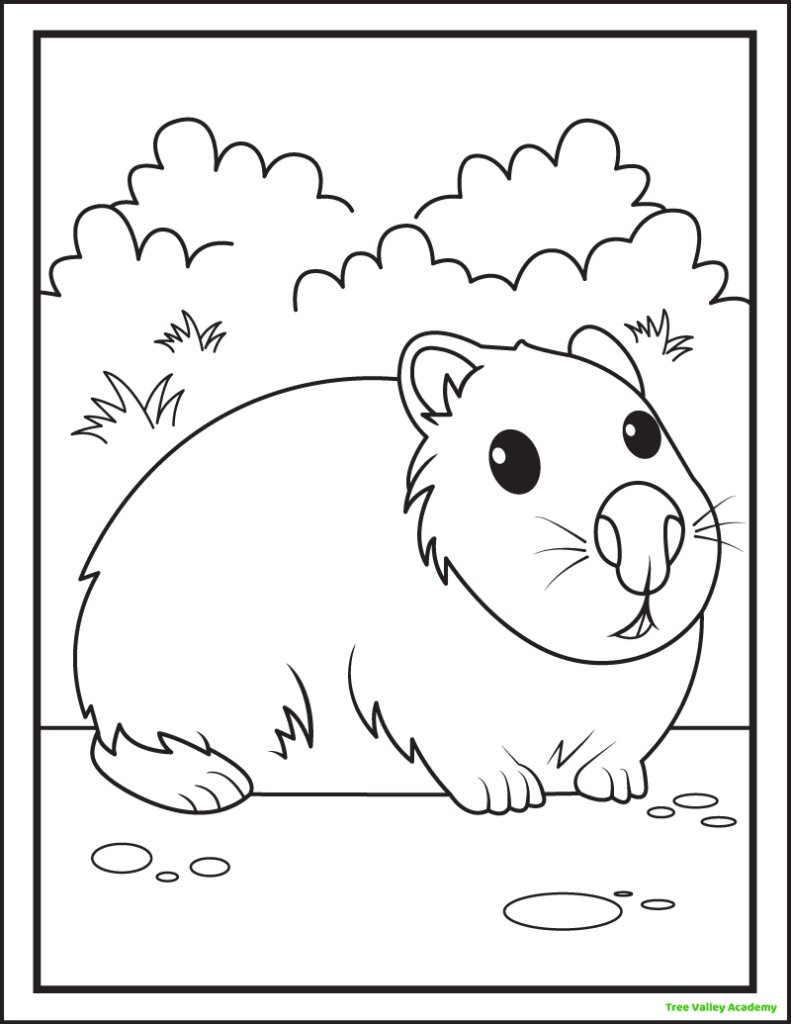 A printable groundhog coloring page of a cute groundhog with a big nose lying down on the ground. The background has lots of bushes.