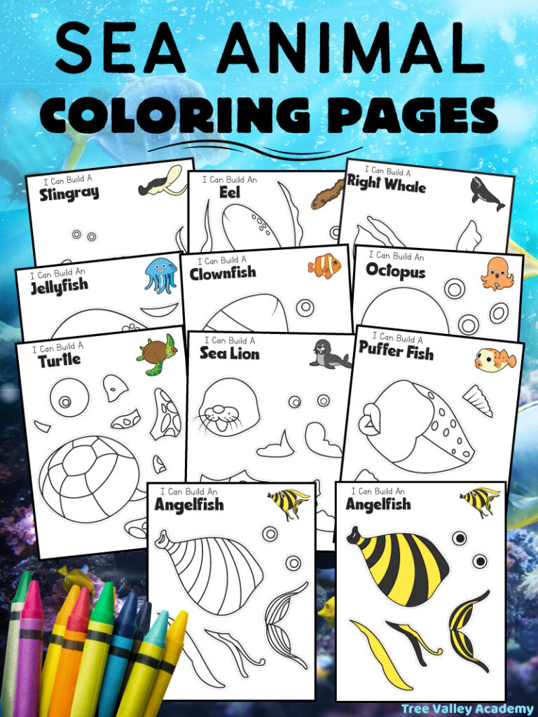 Sea animal coloring pages. Each coloring page has the ocean animal broken up into 6 to 8 pieces to color. At the top right corner of each page, there's a small full colored image of the finished sea creature. There's a coloring page of a stingray, an eel, a right whale, a jellyfish, a clownfish, an octopus, a turtle, a sea lion, a pufferfish, and an angelfish.