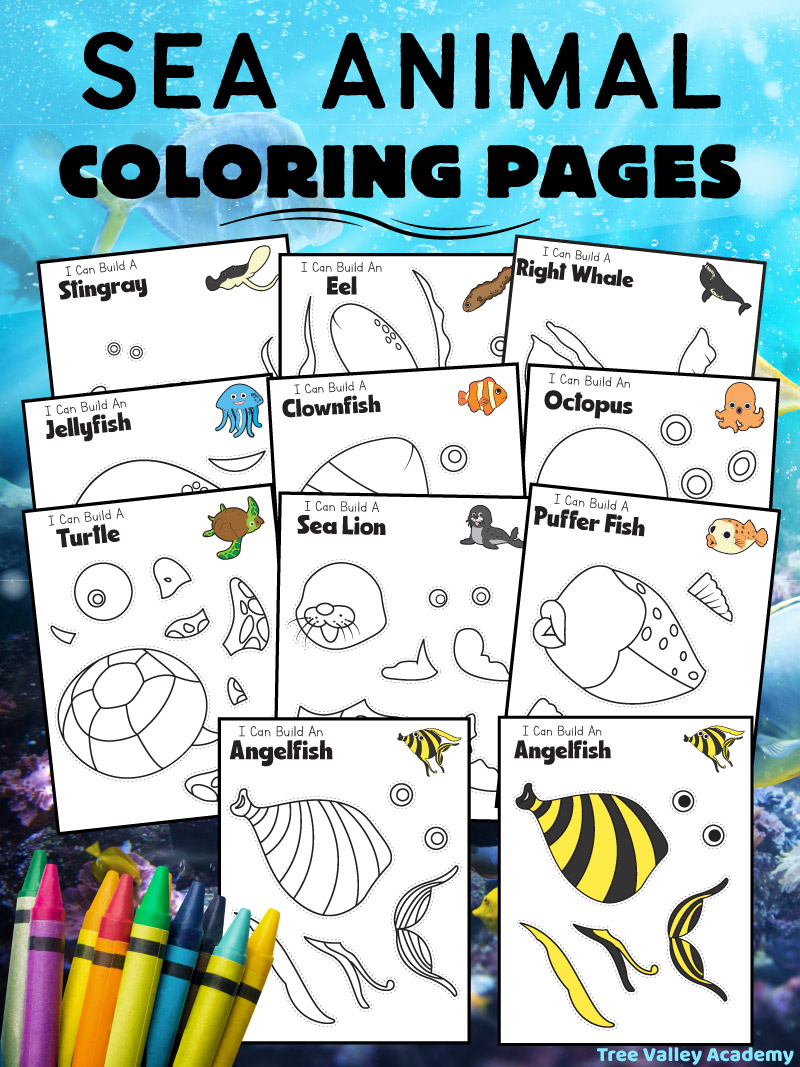 10 Ocean Animal Coloring Pages for Creative Exploration