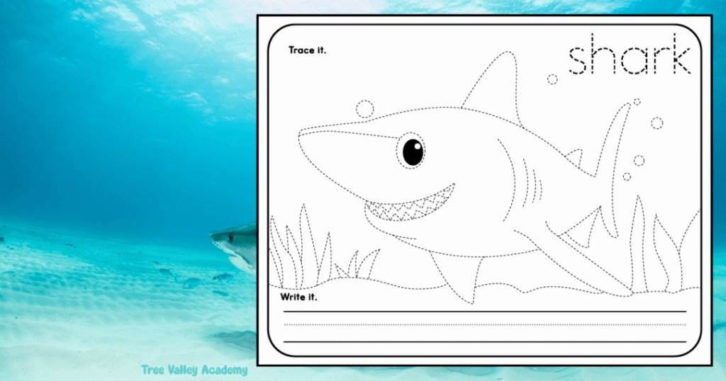 Printable shark tracing worksheet for preschool and kindergarten with a trace, color, and write activity with a smiling shark.