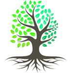 treevalleyacademy.com-logo