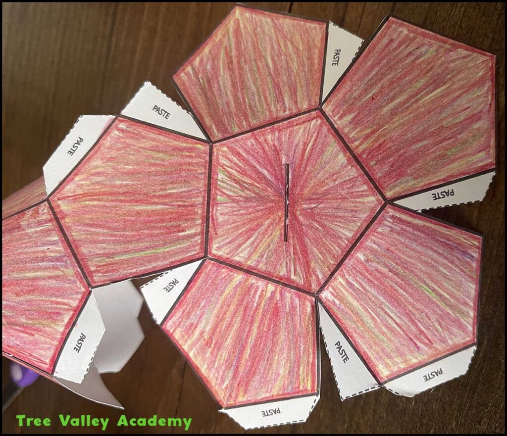 Slit cut in the center of the 3D apple craft template for the stem and leaf