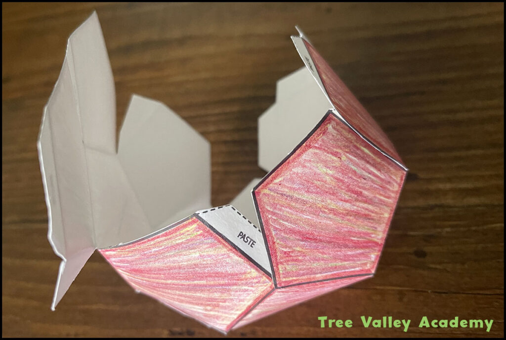 Assembling the folded 3D paper apple craft using the paste tabs