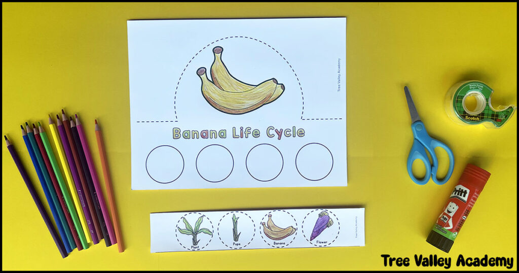 Banana life cycle hat craft printable with colored banana illustration, cut-out stages, crayons, scissors, tape, and glue on a yellow background.