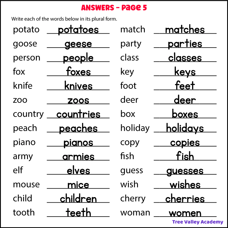 The answers for a free printable irregular plural nouns worksheet for kids.