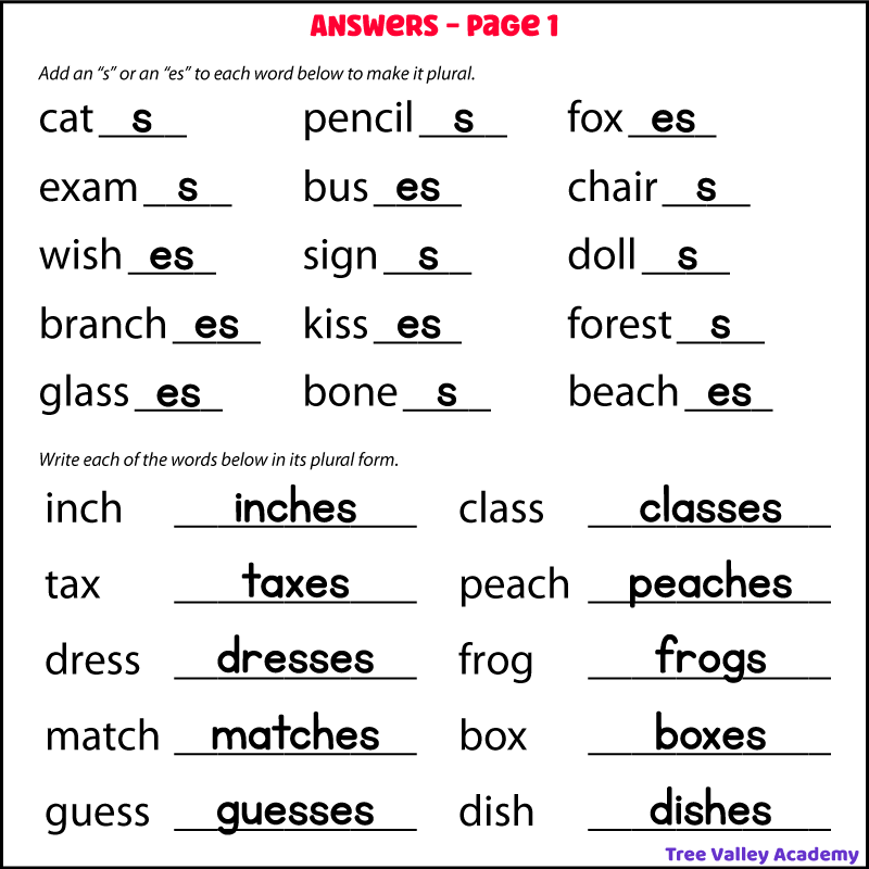 The answers for a free printable plural nouns worksheet.