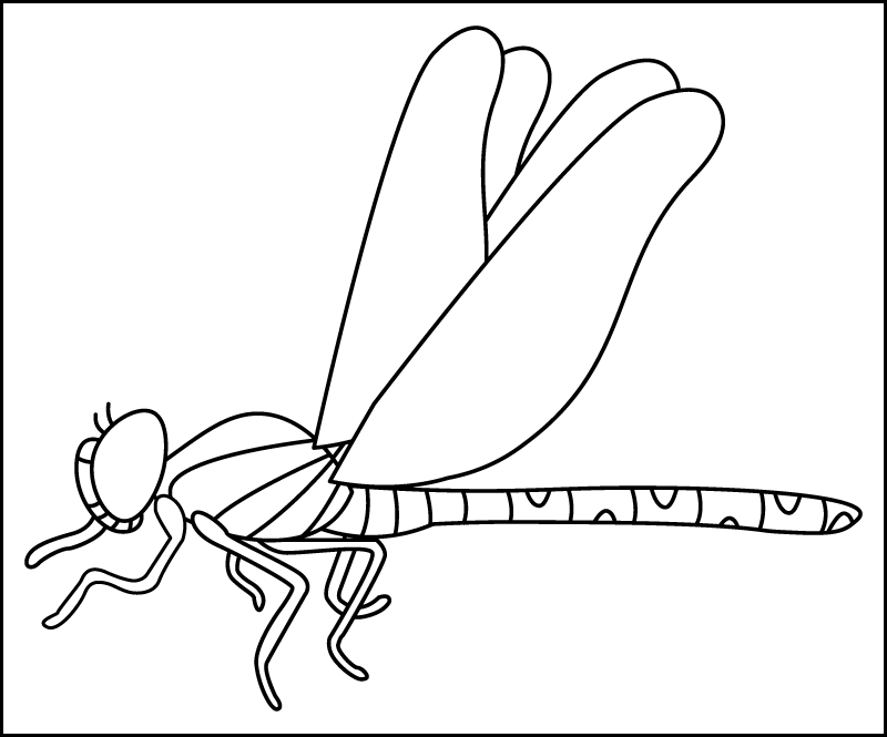 The drawing of the side view of a realistic dragonfly.