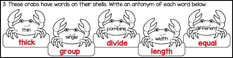 under the sea 3rd grade spelling worksheet answer key showing antonyms such as thick for thin and equal for different